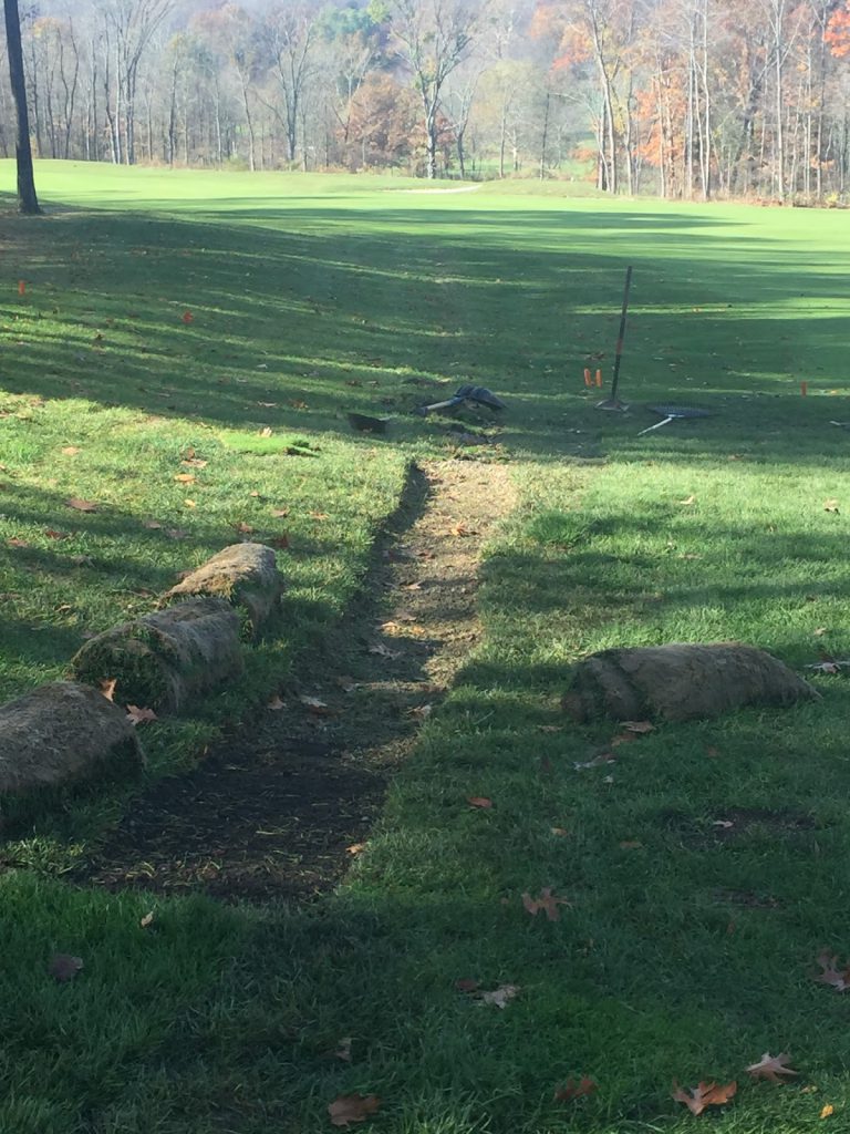 Sod Replacement Right 5 approach