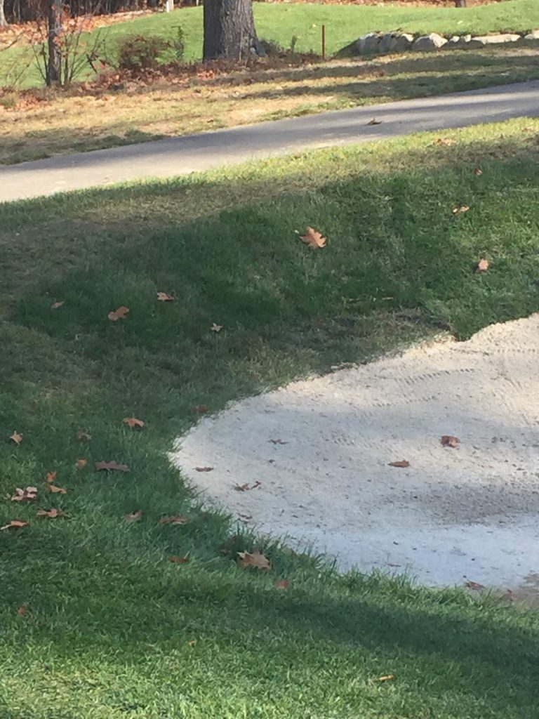 Repaired bunker face #5